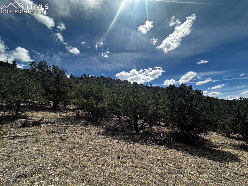 938 Shoshone Drive Canon City CO 81212
