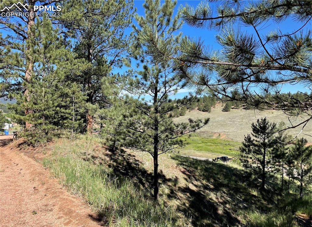 125 & 137 Hillside Drive Florissant CO 80816