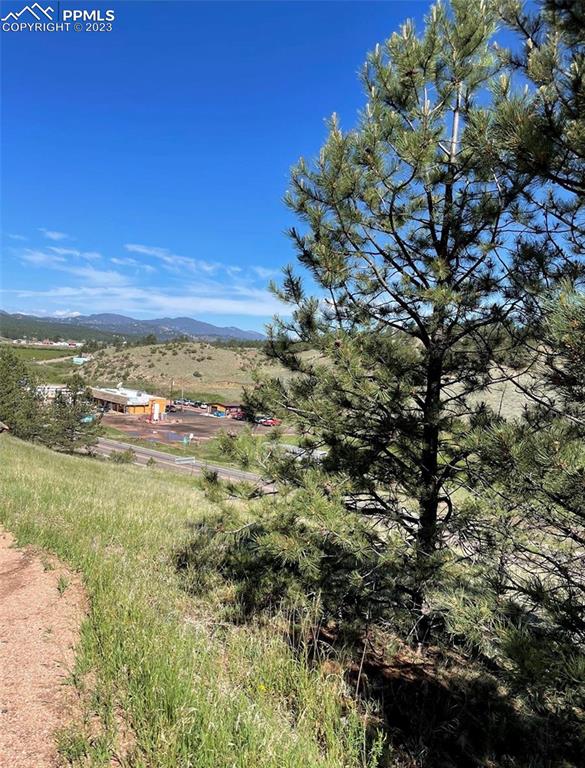 125 & 137 Hillside Drive Florissant CO 80816