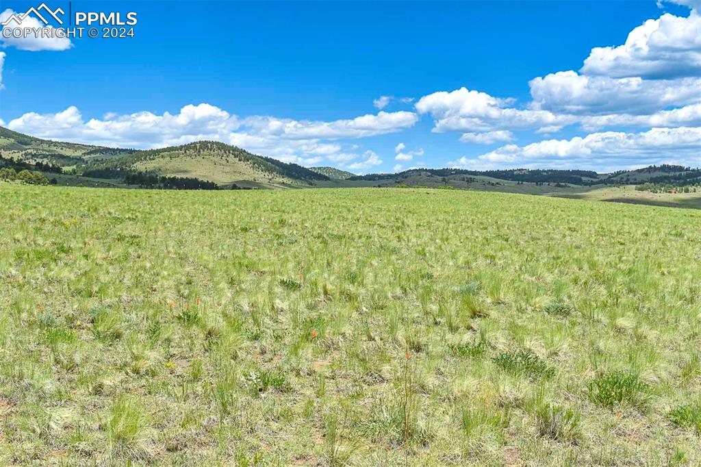 County Road 63 Guffey CO 80820