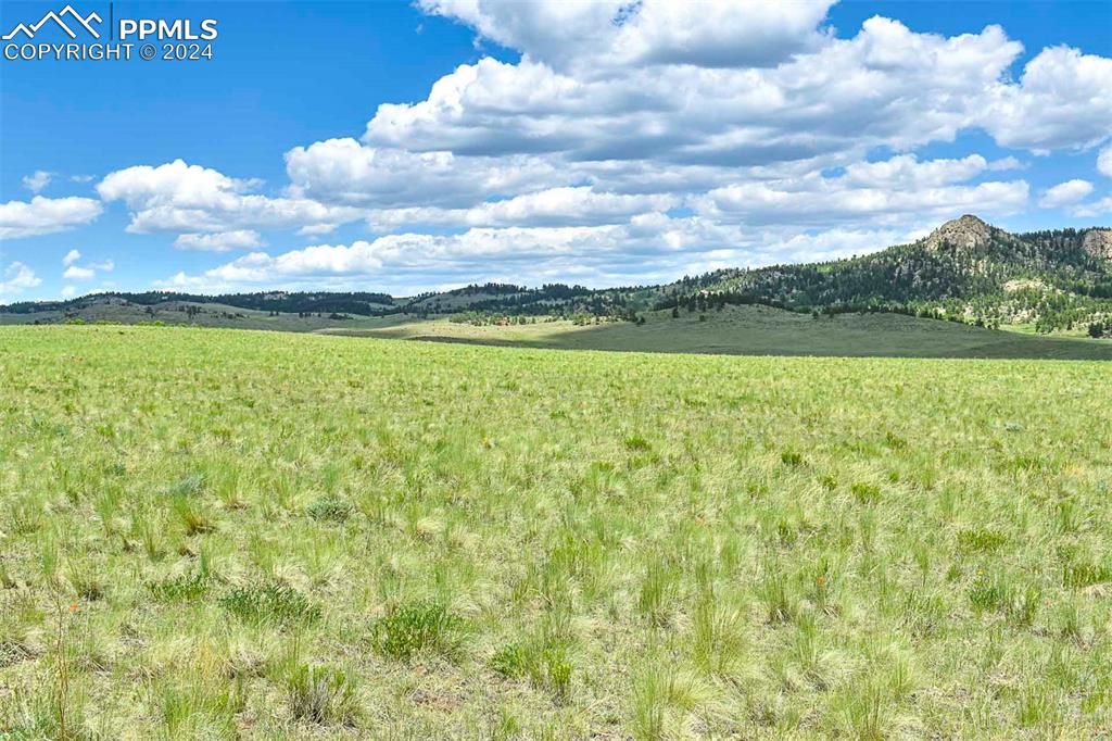 County Road 63 Guffey CO 80820