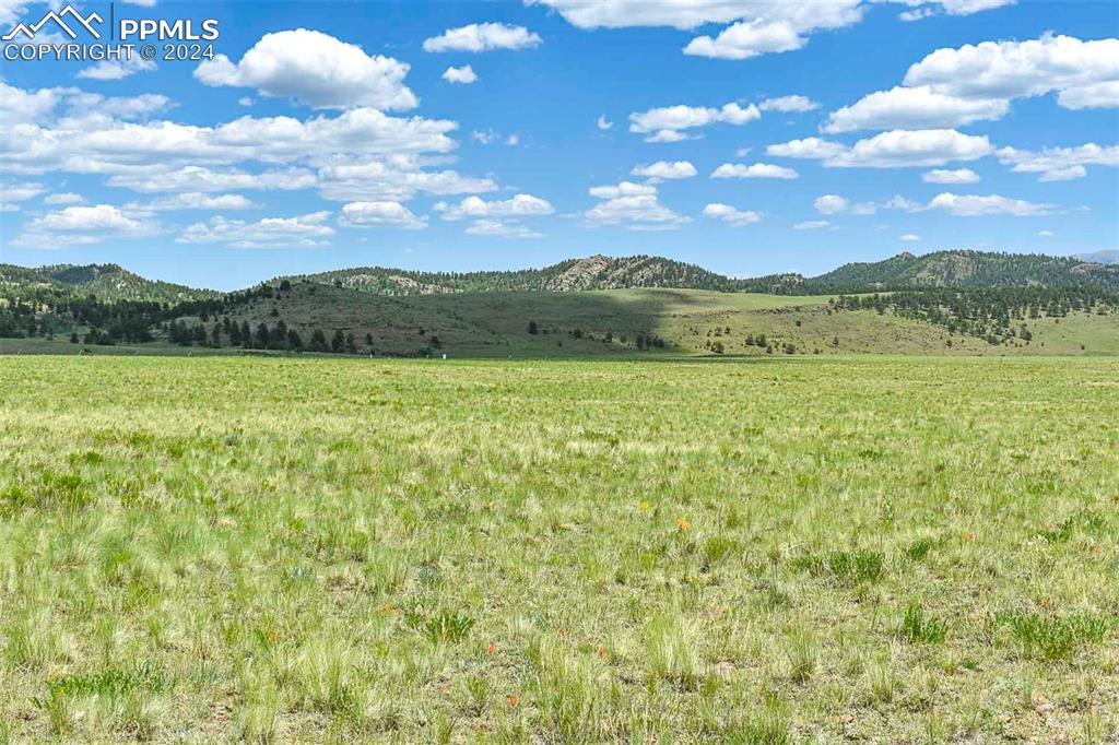 County Road 63 Guffey CO 80820