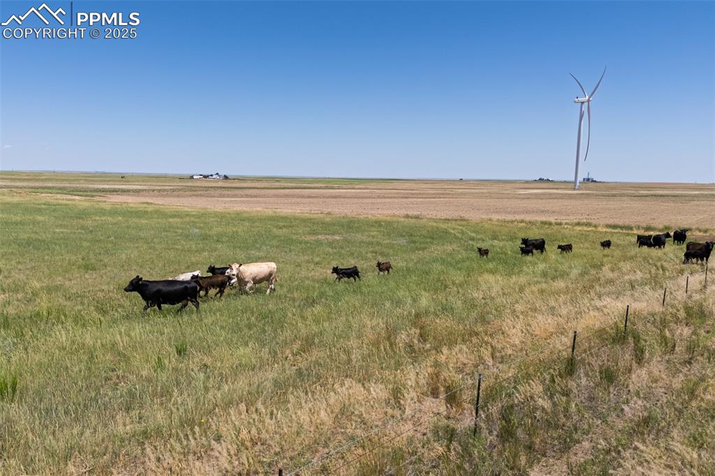 18497 County Road 197 Limon CO 80828
