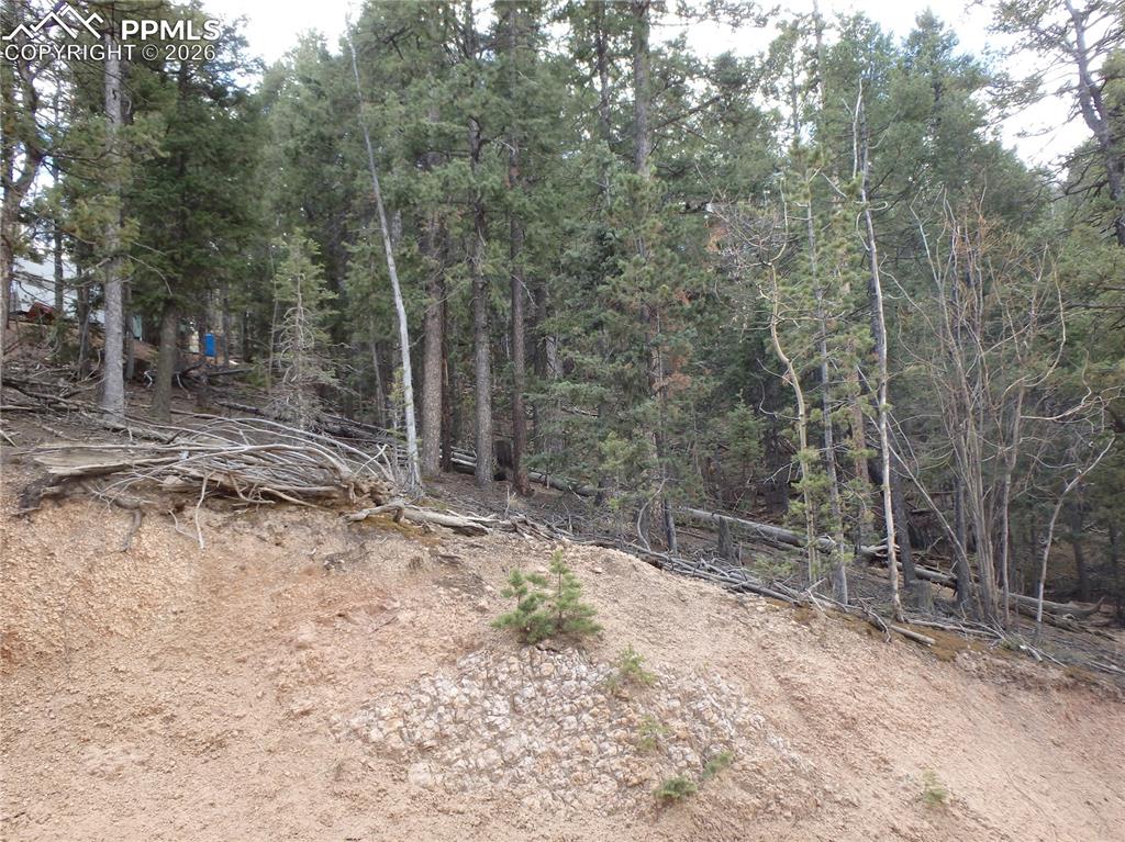 620 Wakanda Trail Woodland Park CO 80863