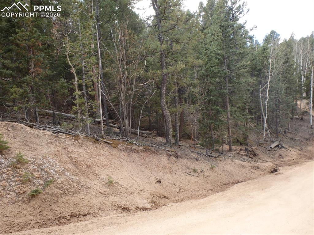 620 Wakanda Trail Woodland Park CO 80863