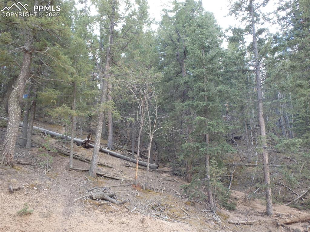 620 Wakanda Trail Woodland Park CO 80863