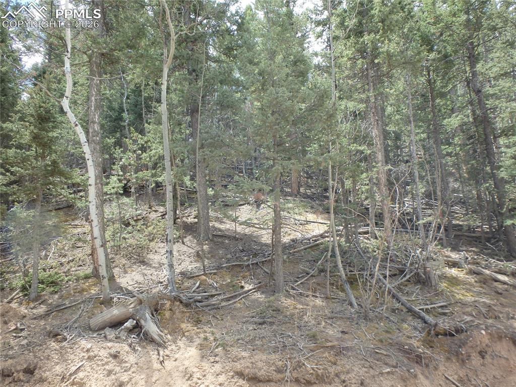620 Wakanda Trail Woodland Park CO 80863