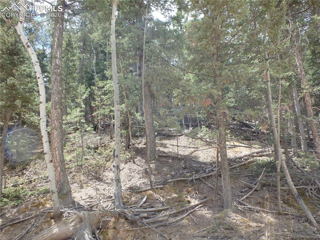 620 Wakanda Trail Woodland Park CO 80863