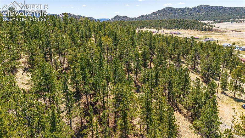 56 Dallas Park Circle Florissant CO 80816