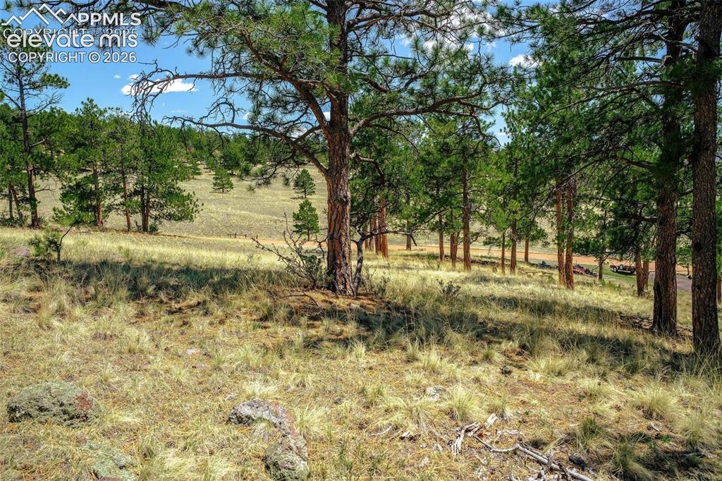56 Dallas Park Circle Florissant CO 80816