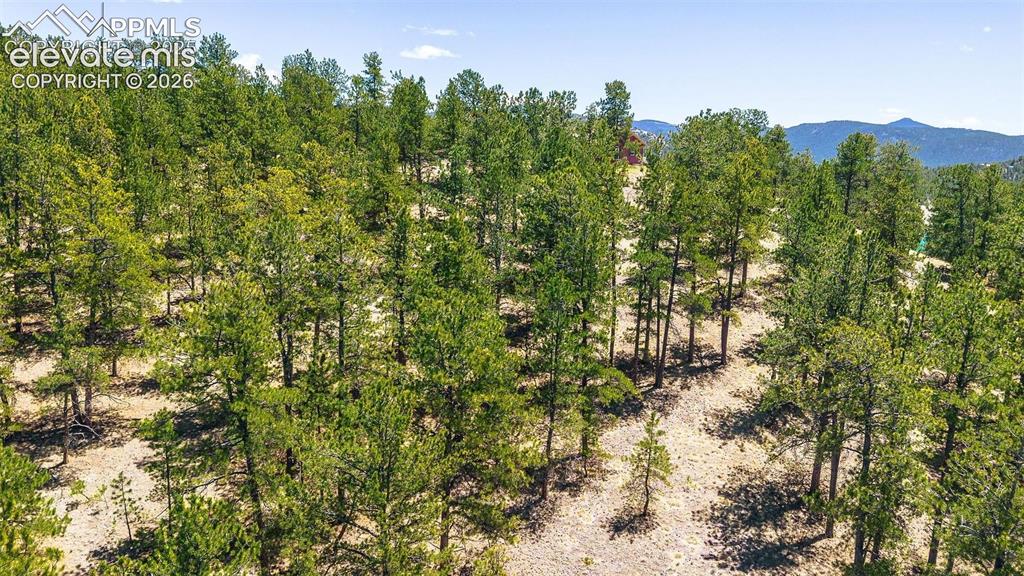 56 Dallas Park Circle Florissant CO 80816