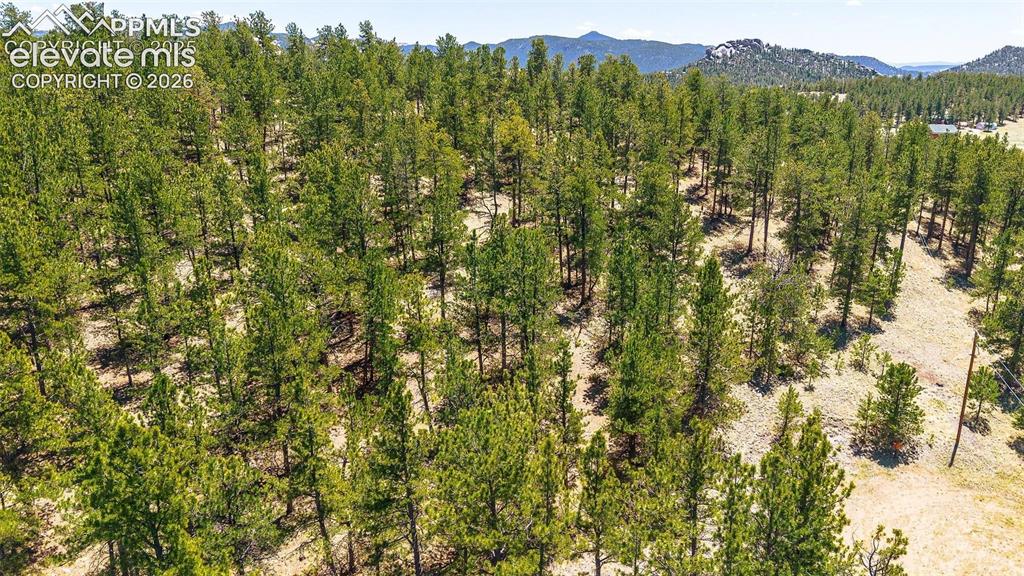 56 Dallas Park Circle Florissant CO 80816
