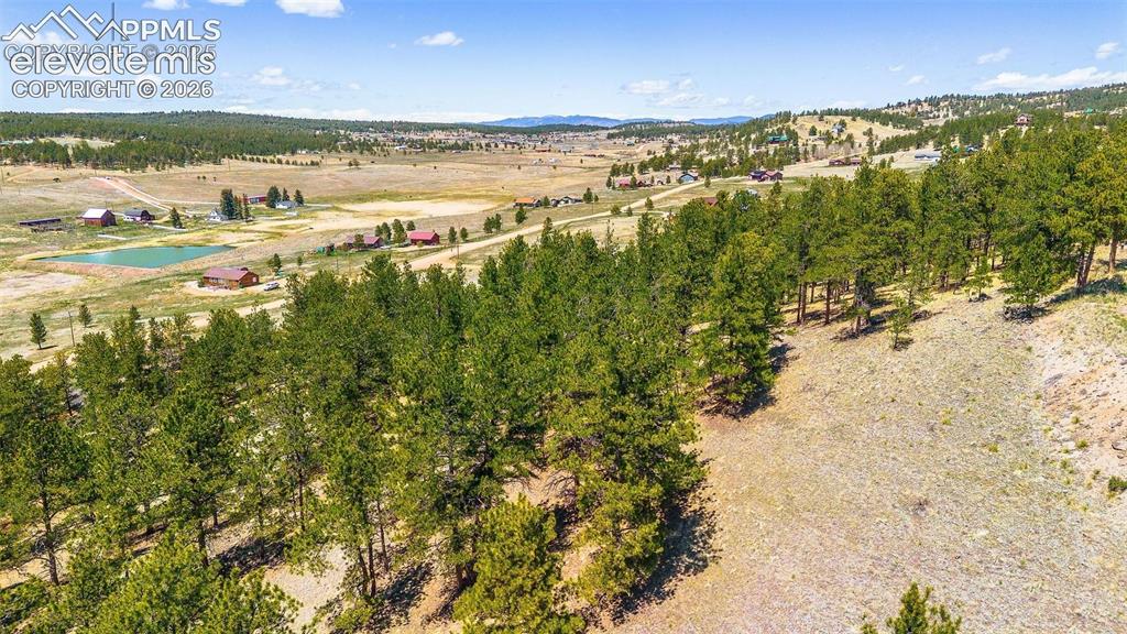 56 Dallas Park Circle Florissant CO 80816