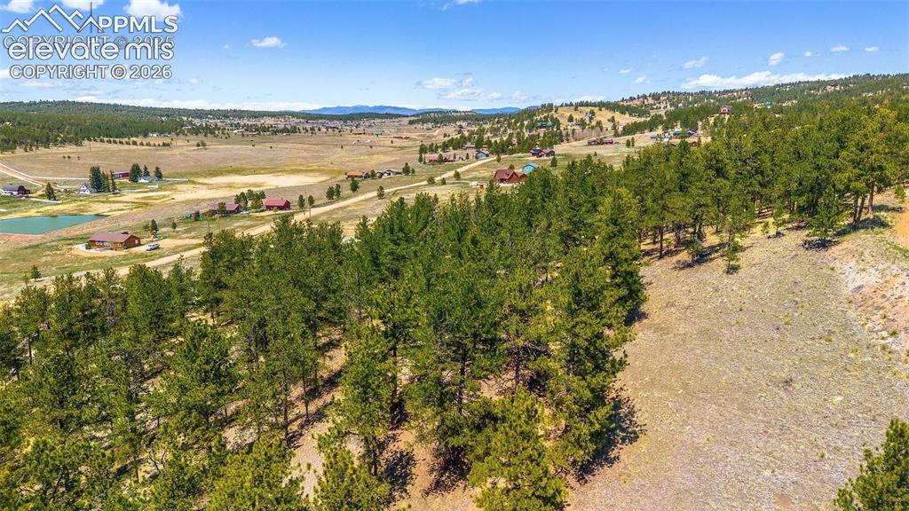 56 Dallas Park Circle Florissant CO 80816