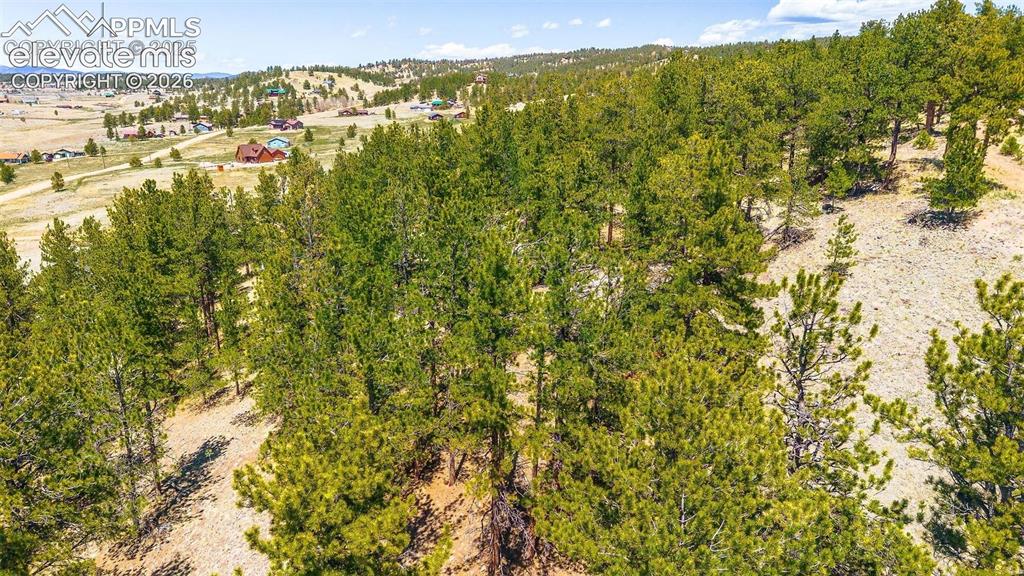 56 Dallas Park Circle Florissant CO 80816