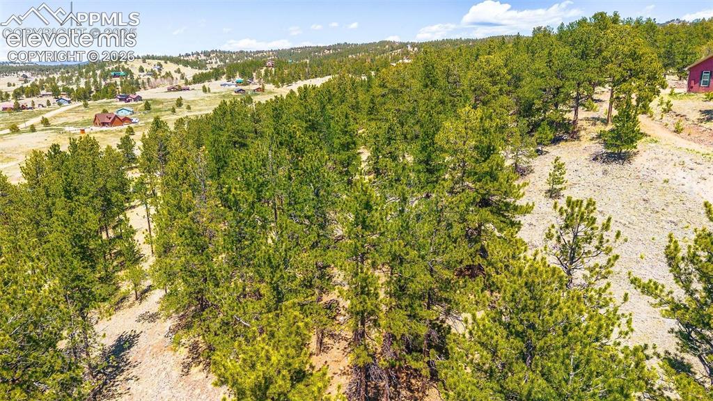 56 Dallas Park Circle Florissant CO 80816