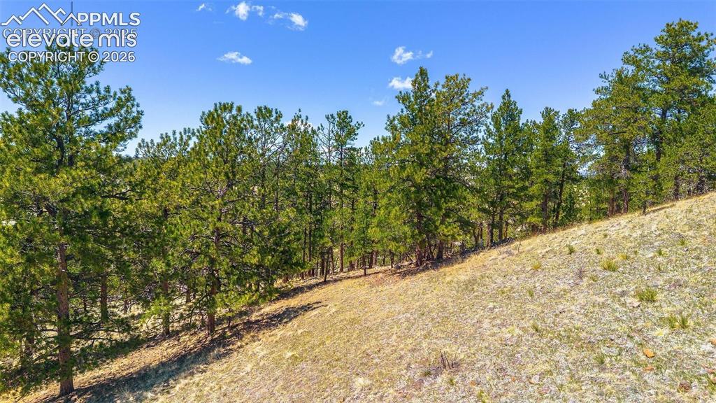 56 Dallas Park Circle Florissant CO 80816