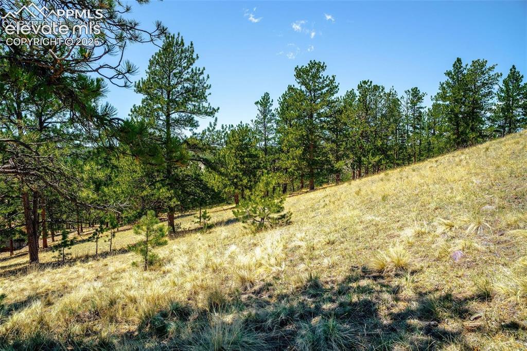 56 Dallas Park Circle Florissant CO 80816