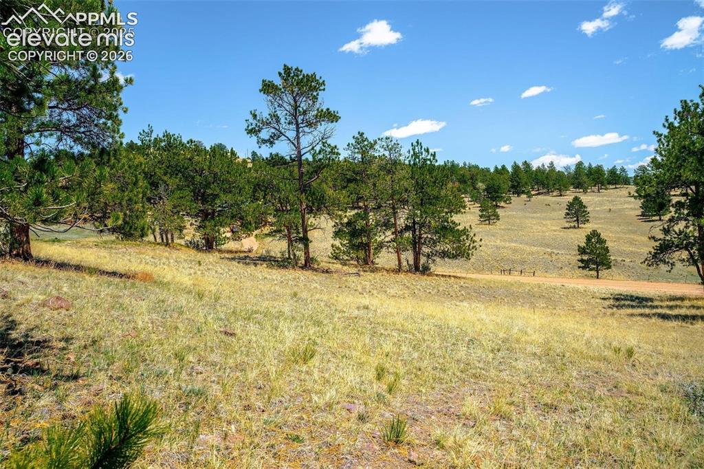 56 Dallas Park Circle Florissant CO 80816