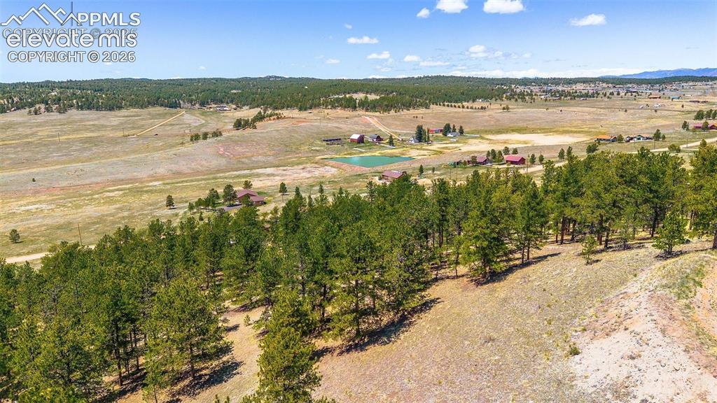 56 Dallas Park Circle Florissant CO 80816