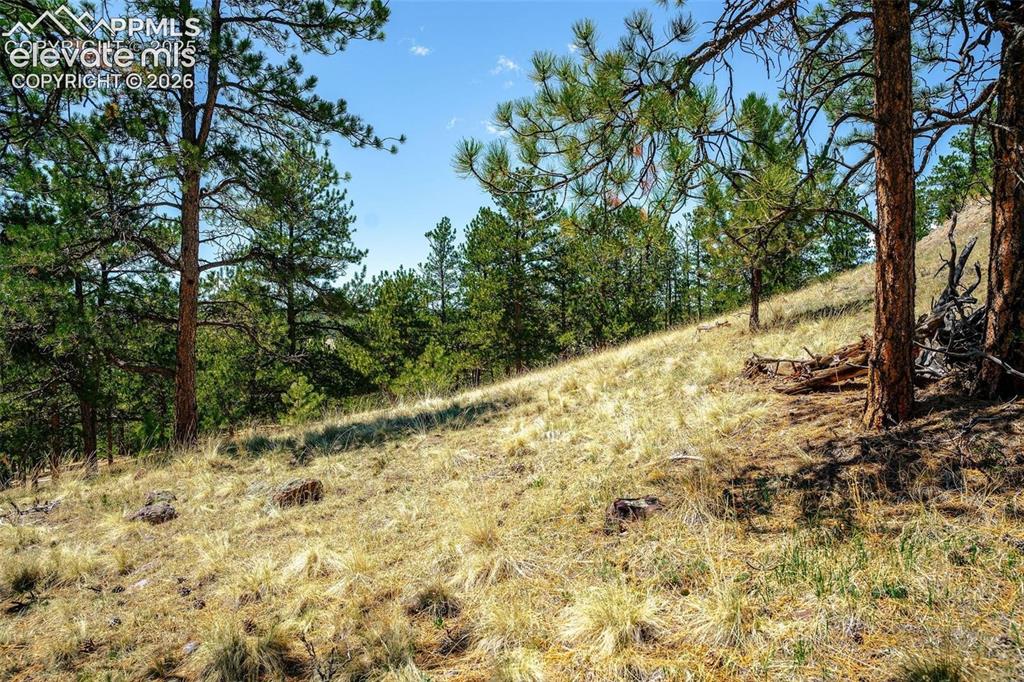 56 Dallas Park Circle Florissant CO 80816