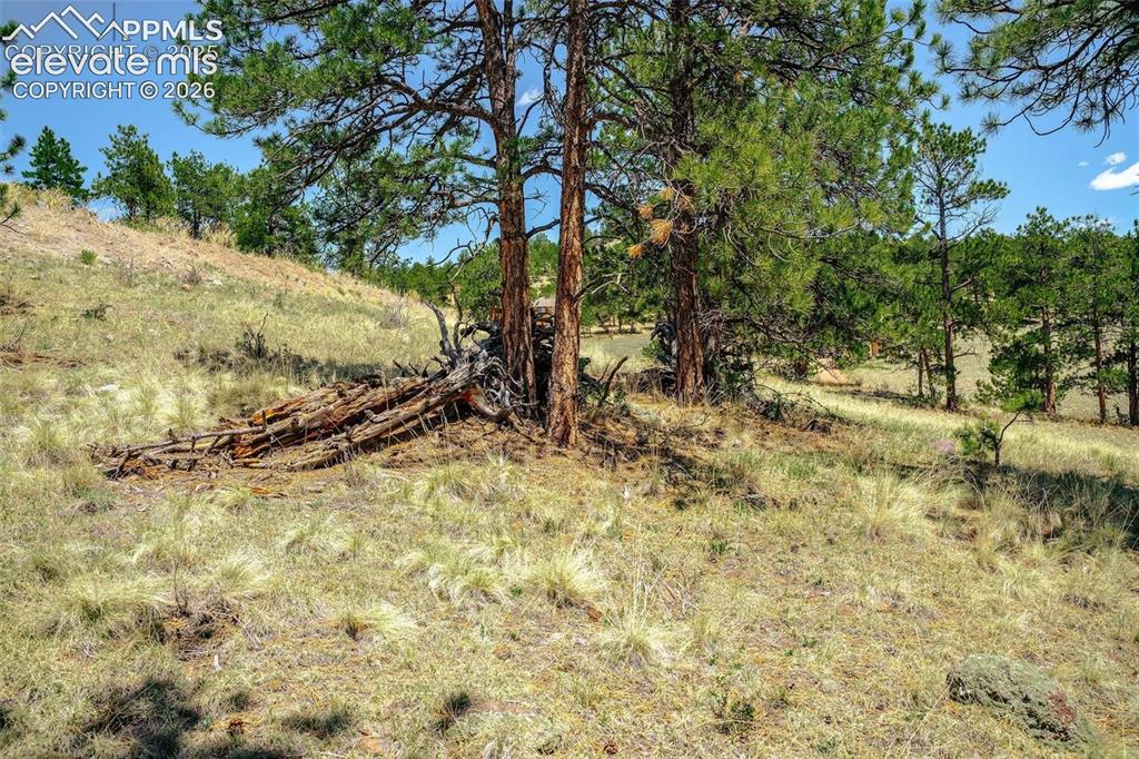 56 Dallas Park Circle Florissant CO 80816