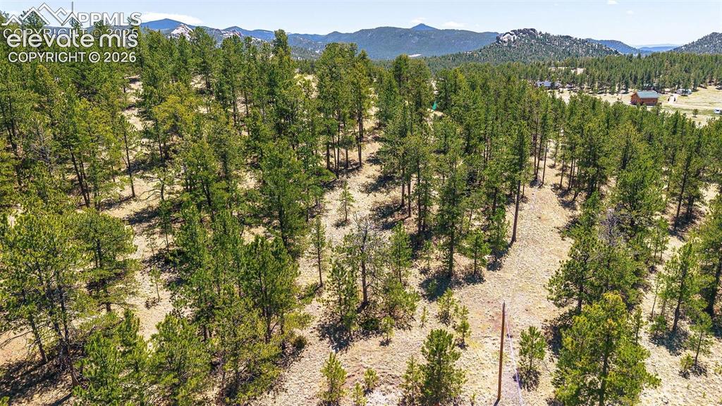 56 Dallas Park Circle Florissant CO 80816
