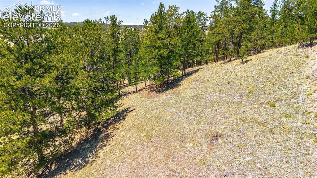 56 Dallas Park Circle Florissant CO 80816