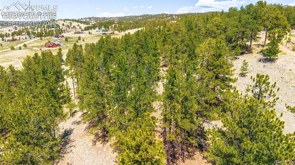 56 Dallas Park Circle Florissant CO 80816