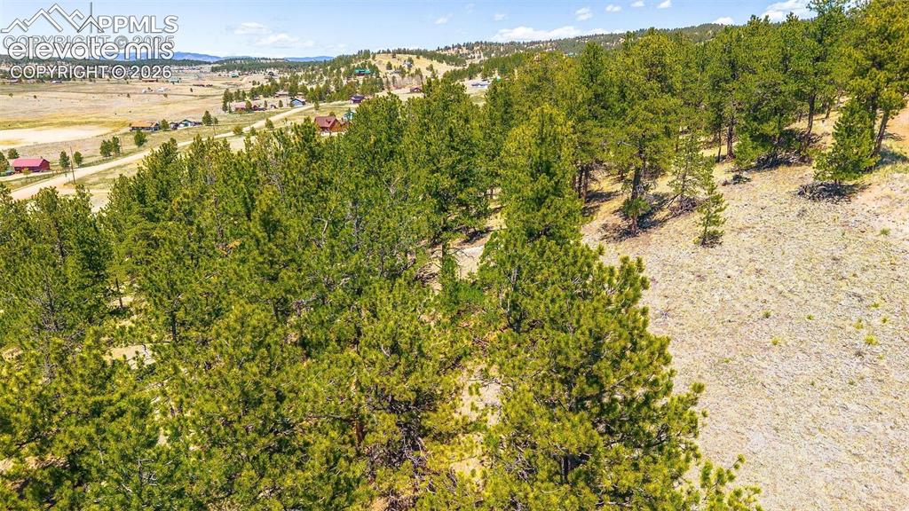 56 Dallas Park Circle Florissant CO 80816