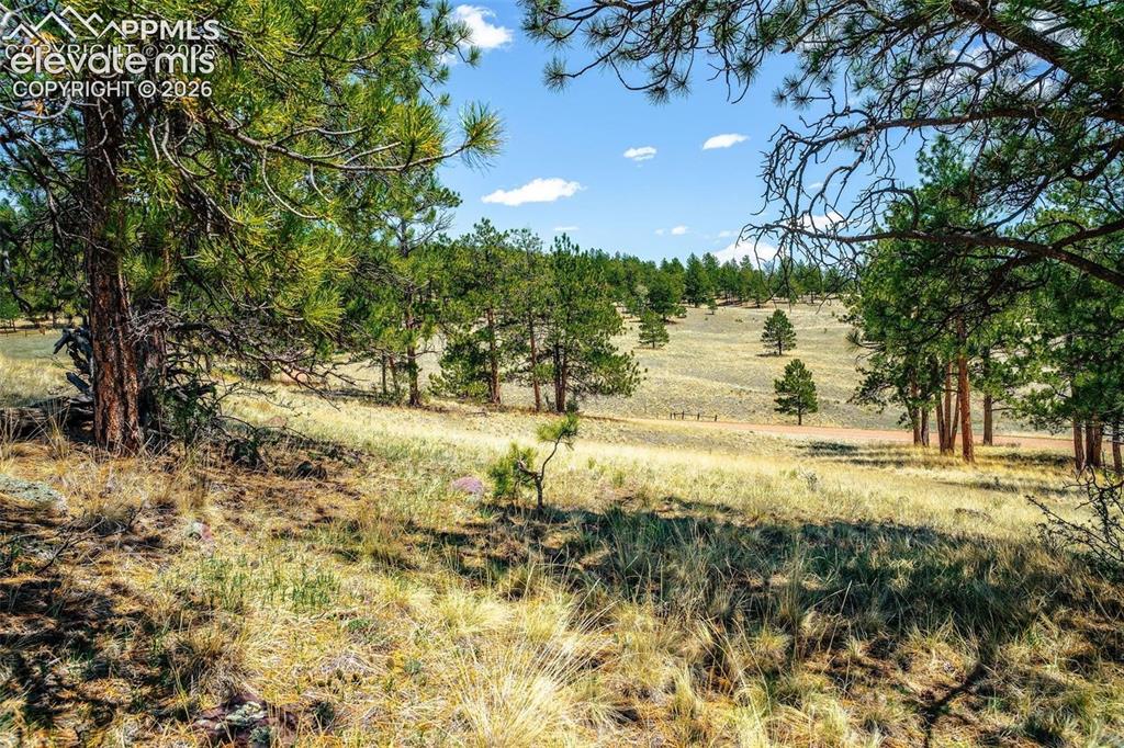 56 Dallas Park Circle Florissant CO 80816