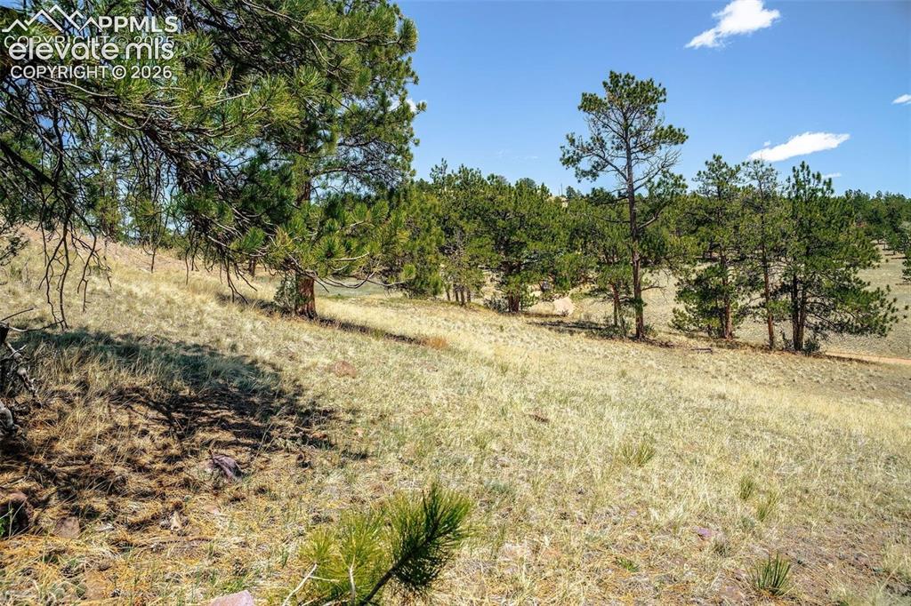 56 Dallas Park Circle Florissant CO 80816