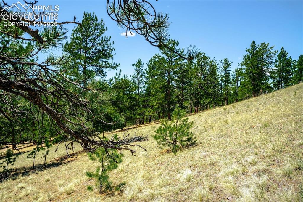56 Dallas Park Circle Florissant CO 80816