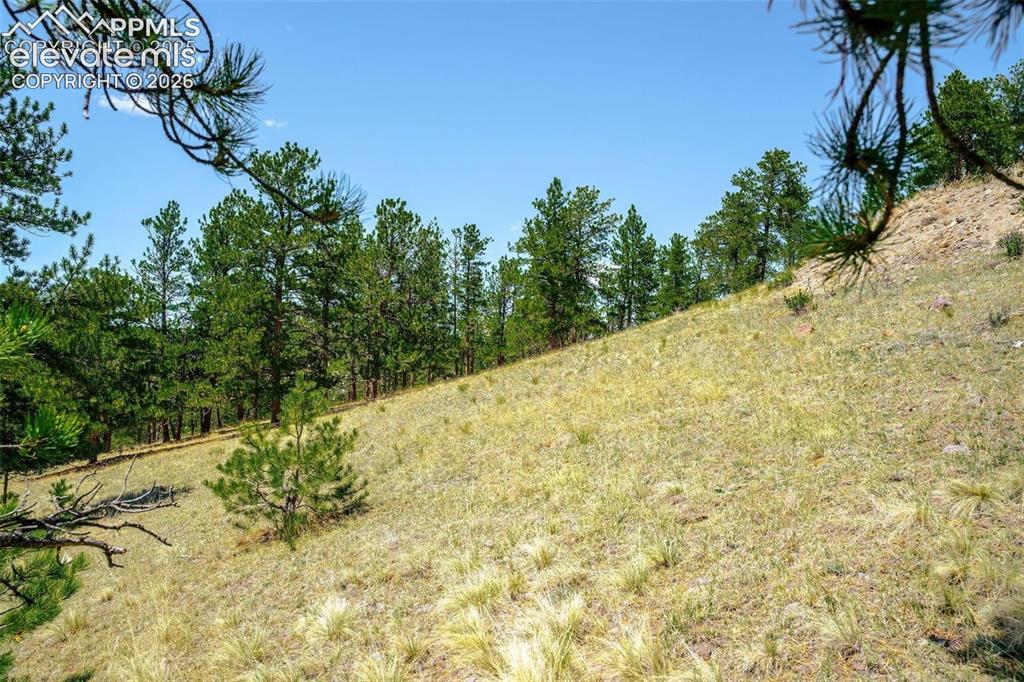 56 Dallas Park Circle Florissant CO 80816