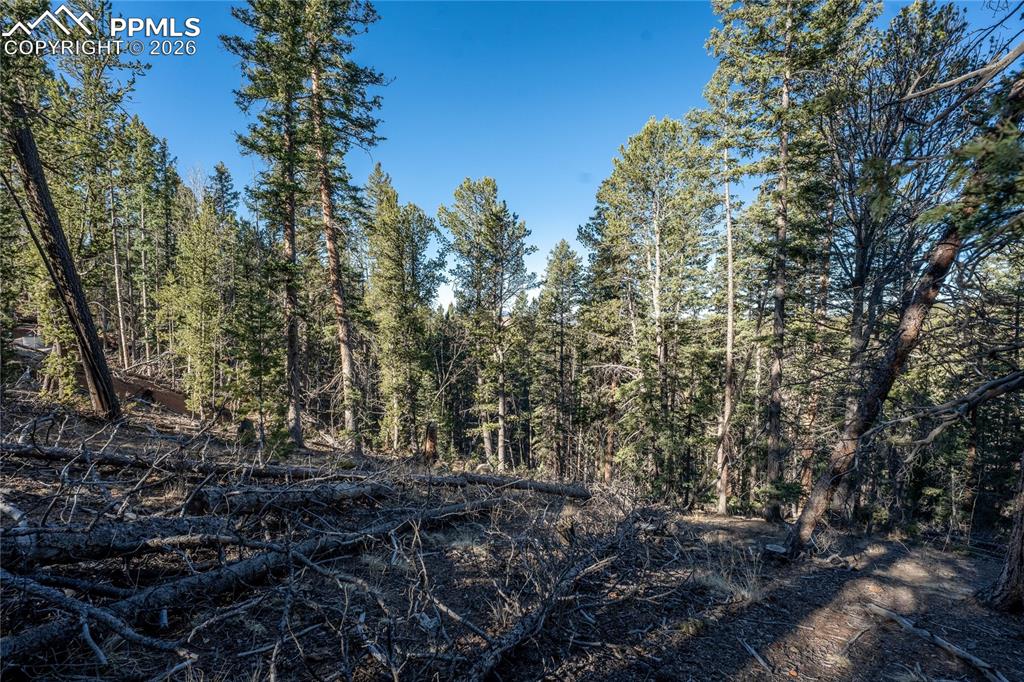 565 Fairview Drive Cripple Creek CO 80813
