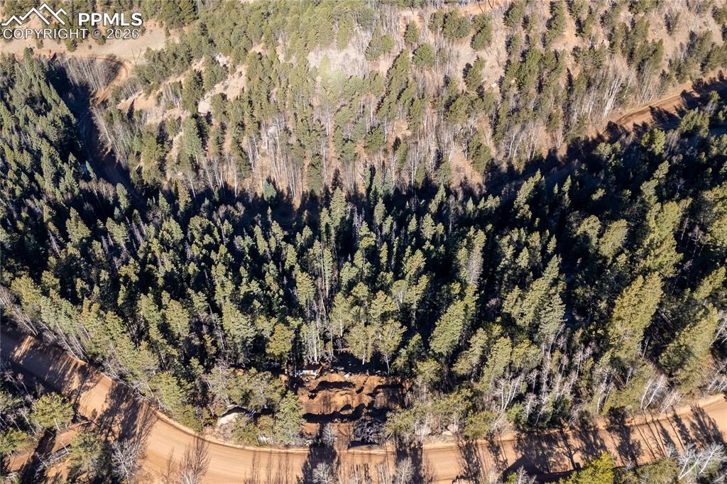 565 Fairview Drive Cripple Creek CO 80813