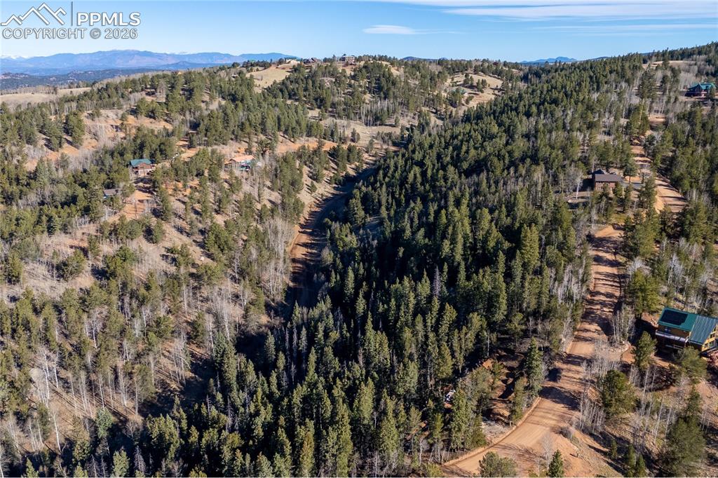 565 Fairview Drive Cripple Creek CO 80813