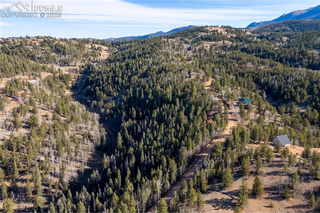 565 Fairview Drive Cripple Creek CO 80813