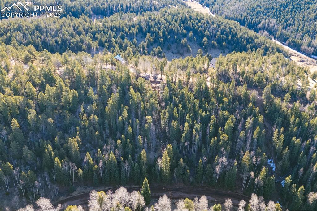 565 Fairview Drive Cripple Creek CO 80813