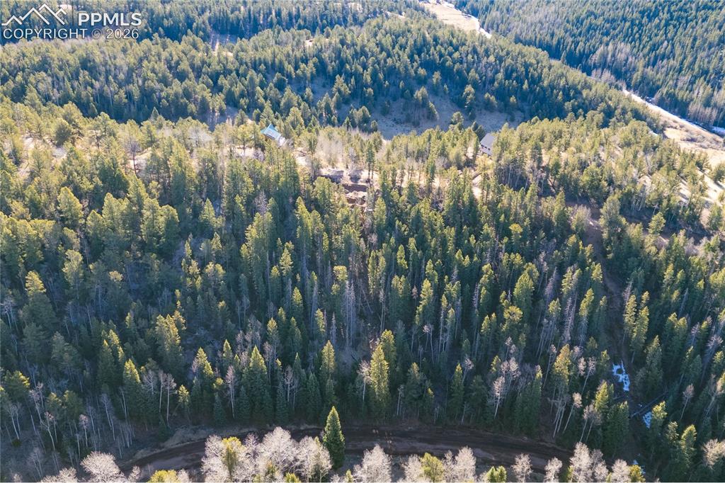 565 Fairview Drive Cripple Creek CO 80813