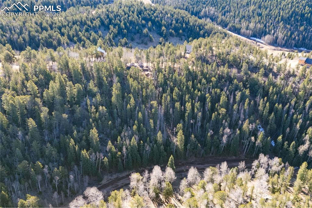 565 Fairview Drive Cripple Creek CO 80813