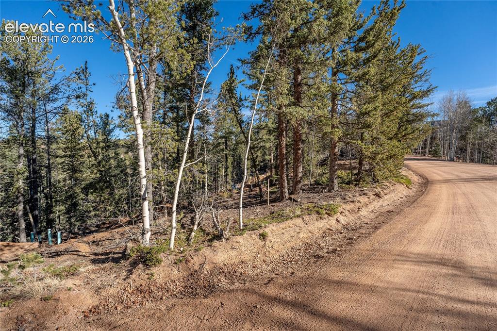 565 Fairview Drive Cripple Creek CO 80813