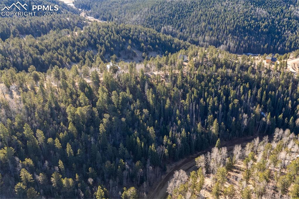 565 Fairview Drive Cripple Creek CO 80813