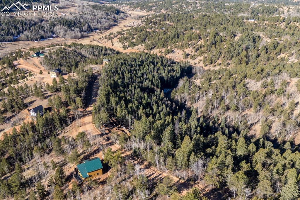 565 Fairview Drive Cripple Creek CO 80813