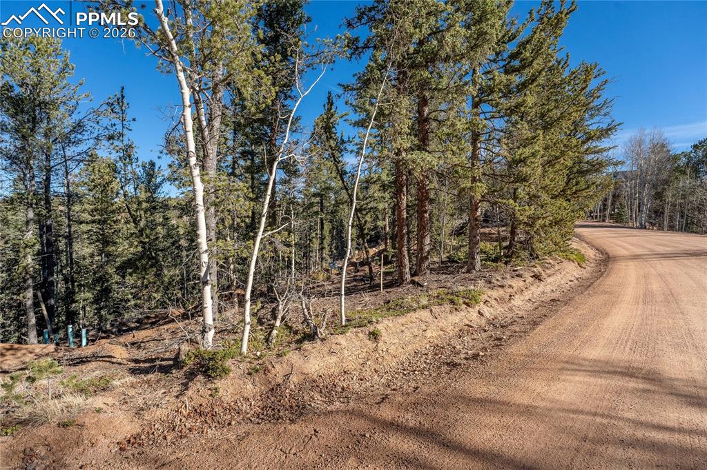 565 Fairview Drive Cripple Creek CO 80813