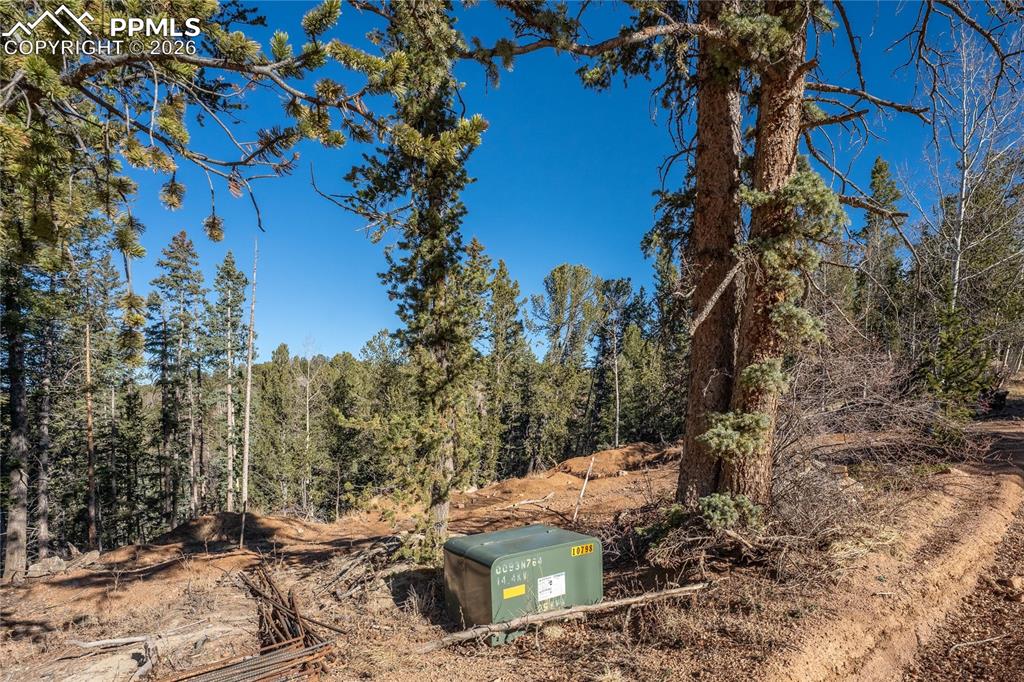 565 Fairview Drive Cripple Creek CO 80813