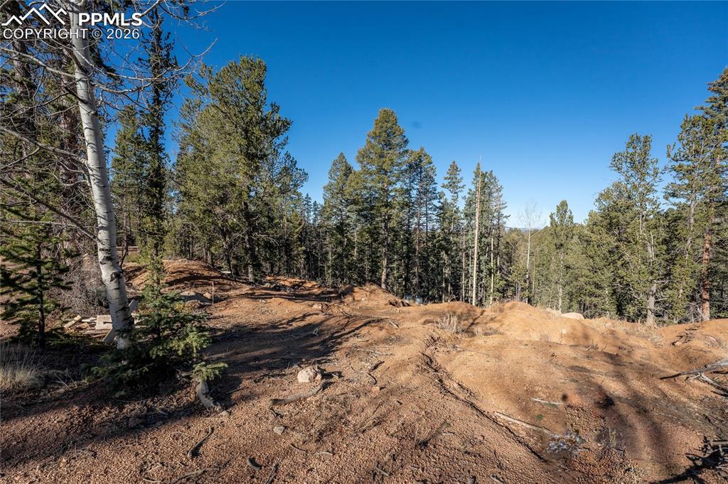 565 Fairview Drive Cripple Creek CO 80813