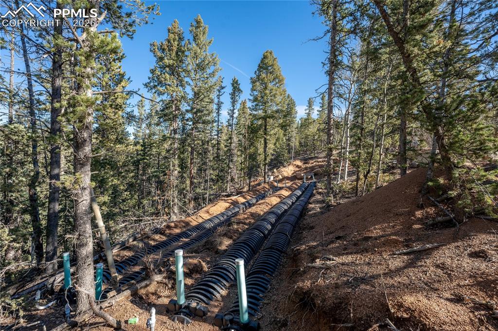565 Fairview Drive Cripple Creek CO 80813