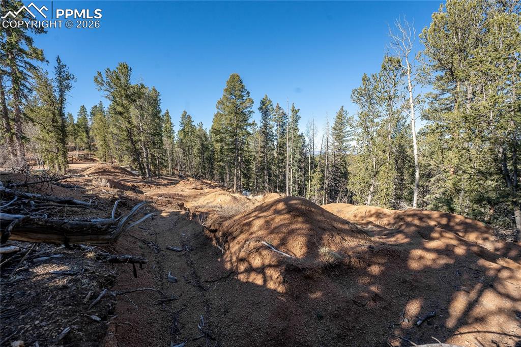 565 Fairview Drive Cripple Creek CO 80813