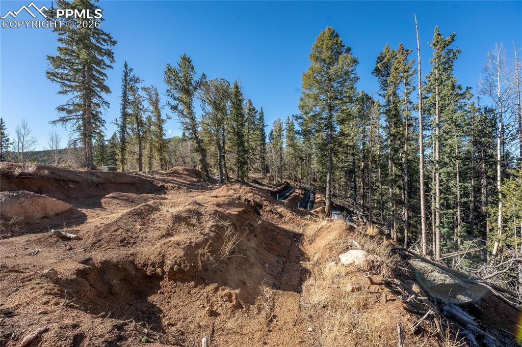 565 Fairview Drive Cripple Creek CO 80813